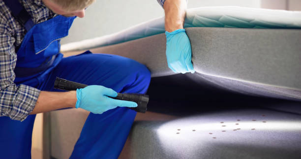 Trusted Avondale, AZ Pest Control Experts