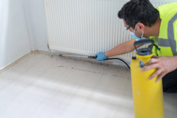 Best Pest Inspection Near Me  in Avondale, AZ
